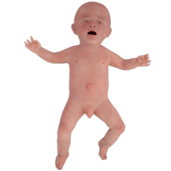 NENASim - pediatric patient simulator