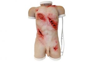 Task trainer Trauma Torso