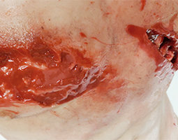 Trauma Trainer Torso