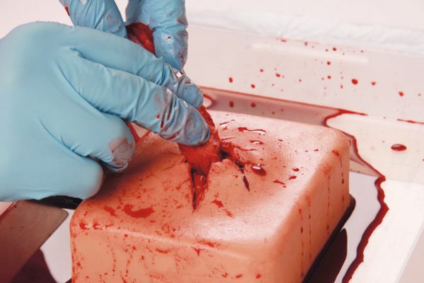 7770_02 Wound Packing Trainer