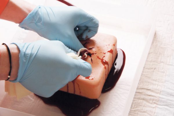 7770_03 Wound Packing Trainer